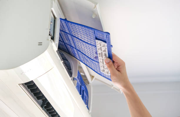 Best Air Duct Mold Removal  in Bent Creek, NC
